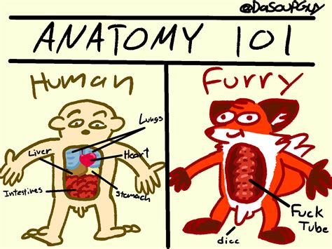 Rule 34 2020 Anatomy Anthro Balls Canid Canine Comedy Comparing