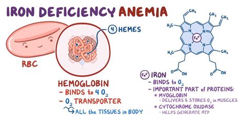 Video: Iron deficiency anemia