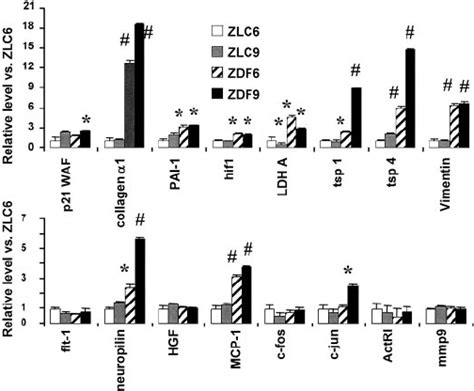 Gene Expression Determined By Affymetrix Genechip Profiling Average