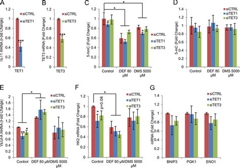 Tets Regulate Hif Target Gene Expression A And B Qpcr Analysis Of