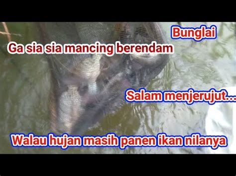 Mancing Nila Bunglai Sungai Luar Bendungan Riam Kanan Youtube