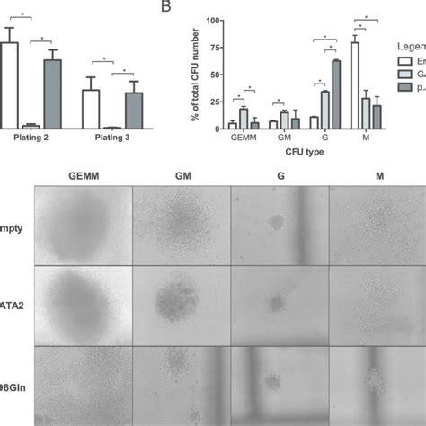 Colony Formation Ability Of Retrovirally Transduced Murine Bone Marrow