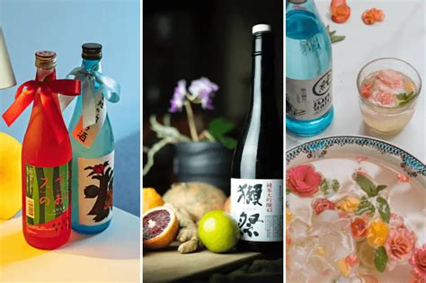 Sip & Savor: 13 Enticing Sake Cocktails - House Hunk