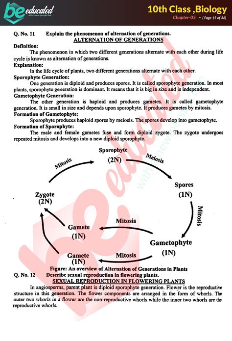 10th Class Biology Diagrams