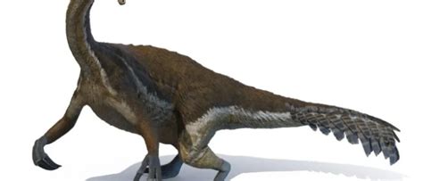 The top 4 weirdest and most bizarre-looking dinosaurs ...