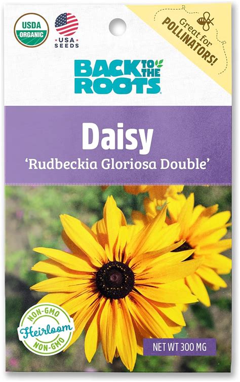 Back To The Roots 100 Organic Seed Packet Daisy