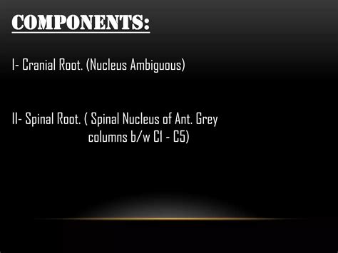 Xi cranial nerve | PPT