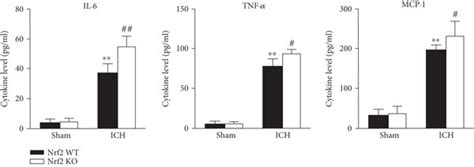 Effect Of Nrf2 On The Nlrp3 Inflammasome Activation And Download Scientific Diagram