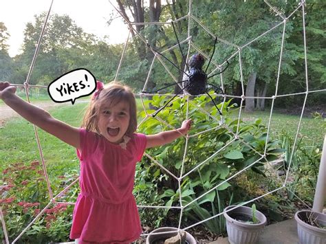 THE REHOMESTEADERS: DIY Giant Spider Web