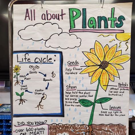 Ecosystems And Adaptation Anchor Chart Adaptations Anchor Chart Sexiz Pix