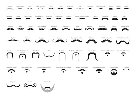 Male Mustache PNG Vector PSD And Clipart With Transparent Background