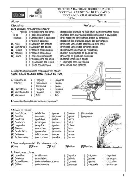 Avalia O De Ci Ncia Helena Andrade