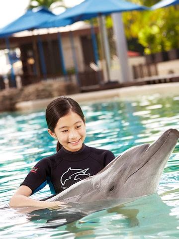 Book Dolphin Island Tickets 2023 | Singapore Attractions