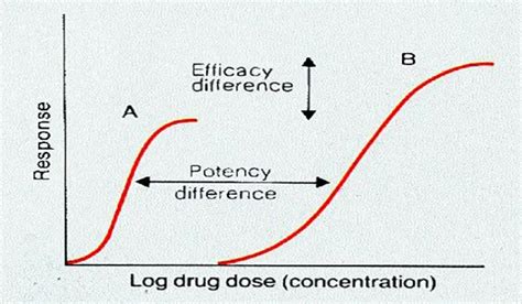 Efficacy Vs Potency Why Is Efficacy More Important Than Potency