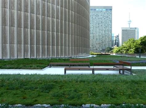 Toronto Unveils Lush New Green Roof At City Hall