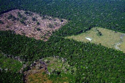 Observatório do ClimaDesmatamento nos biomas do Brasil cresceu 22 3 em