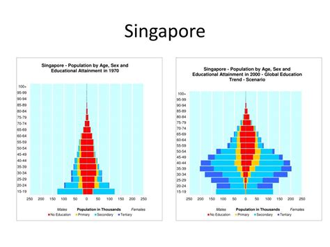 Ppt Population Projections Back And Forward By Age Sex And