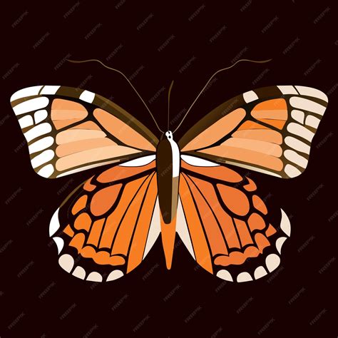 Premium Vector | Butterfly diagrams learning through art