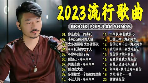 2023華語流行歌曲50首 ️大陸流行歌曲 2023流行歌曲🎶你是我唯一的寄托 半吨兄弟 风雨无阻 太多酒要喝 太多话要说 可可托海