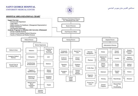 Hospital Organizational Structure Chart