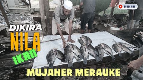 Pasar Ikan Mujaher Di Merauke Papua Dikira Ikan Nila YouTube