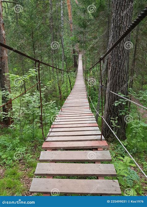 Wooden Rope Bridge in the Forest Stock Image - Image of forest, farming ...