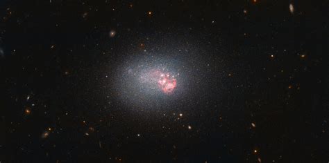 Hubble Image of the Week - Dwarf Galaxy ESO 553-46