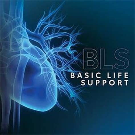 The Basic Life Support Bls Faculty Of Medicine And Health Sciences