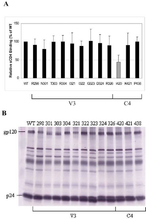 Figure 3 From Mutations In The V3 Stem Versus The V3 Crown And C4