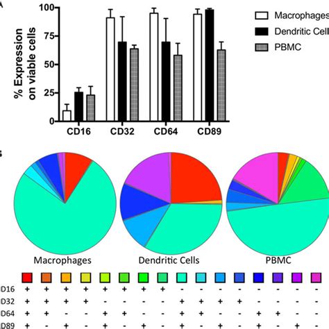 Fc receptor phenotyping of macrophages, dendritic cells, and PBMC used ...