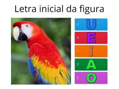 Wordwall Alfabeto 1 Ano - alfabetização 1 ano - Recursos de ensino