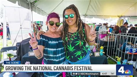 Growing The National Cannabis Festival Nbc4 Washington Youtube