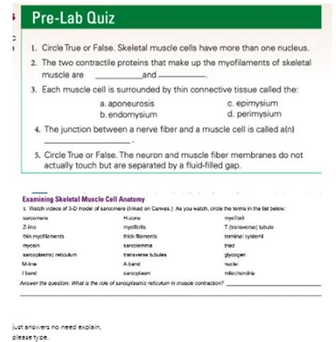 Solved Pre Lab Quiz 1 Circle True Or False Skeletal Muscle Cells Have 1 Answer