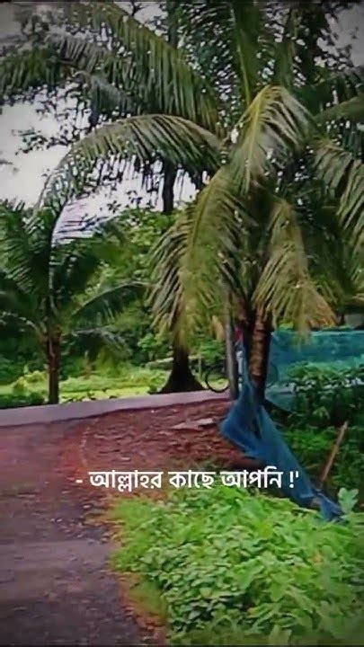 আল্লাহর কাছে নিরপরাধ থাকার চেষ্টা করেন । Allah Islam Viral Foryou