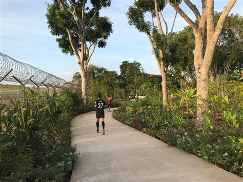 Revamped Sembawang Hot Spring Park Has 4 Tier Cascading Pool Egg Cooking Station New Eatery
