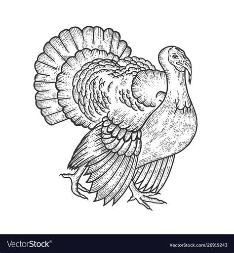 Turkey Bird Sketch Engraving Royalty Free Vector Image