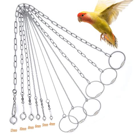 Parrot Leg Ring Ankle Foot Chain Bird Ring Outdoor Flying Training