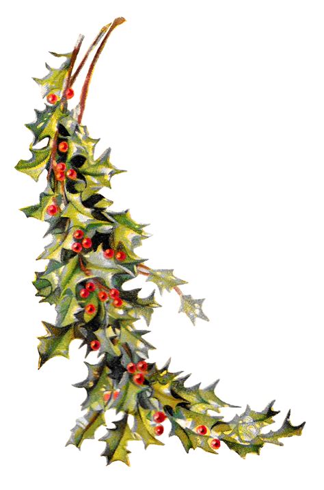 Christmas Holly Clipart | Free download on ClipArtMag