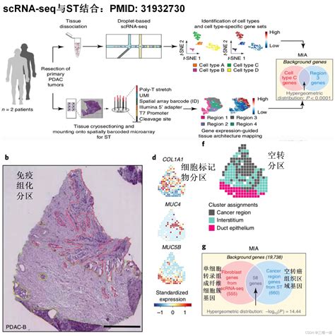 10x 空间转录组学10x空间转录组 Csdn博客