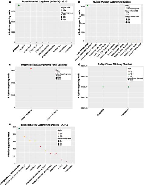 Representative Examples Of The Etv Ntrk Fusion In Sample Detected