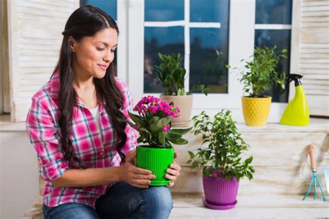 Las Mejores Plantas De Exterior En Maceta