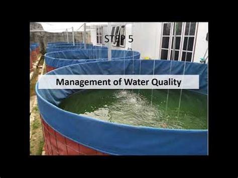 Biofloc Fish Farming Online Training Part Youtube