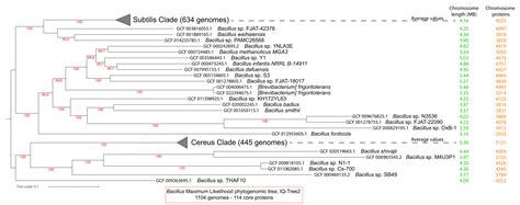 Microorganisms Free Full Text A Comparative Analysis Of The Core