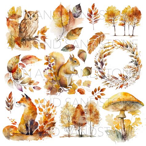 Watercolor Autumn Clipart Fall Watercolor Clipart Watercolor Clipart