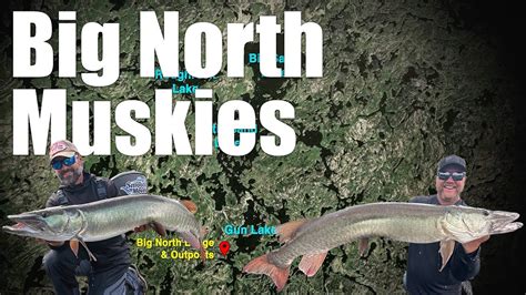 Big North Muskies YouTube