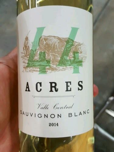 44 Acres Sauvignon Blanc Vivino US