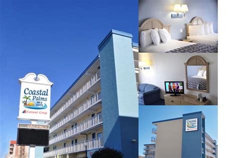 COASTAL PALMS INN & SUITES - Ocean City MD 12004 Coastal Highway 21842