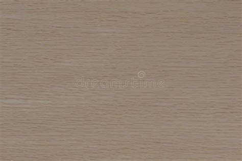 Texture of Oak. Texture of Natural Solid Wood Stock Photo - Image of ...