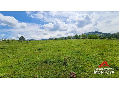 Venta Lote De Terreno En La Pradera Santa M Nica