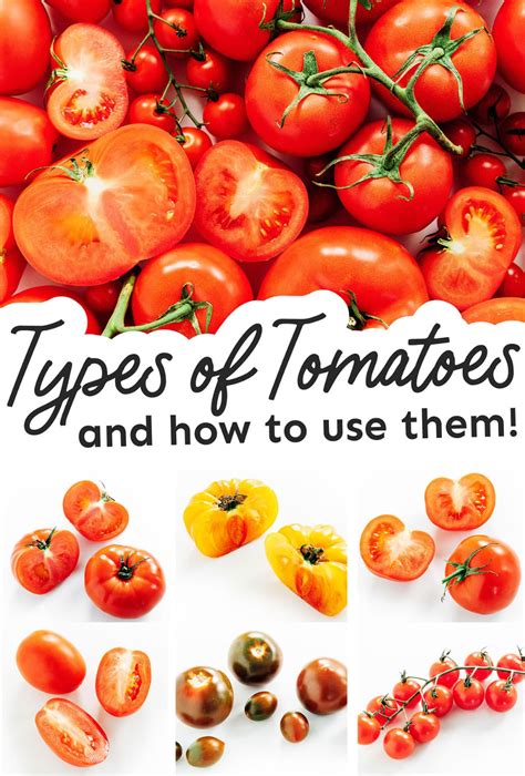 75 Types Of Tomatoes From A To Z With Photos Types Of Tomatoes